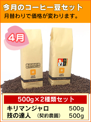 今月のコーヒー豆セット1kg
