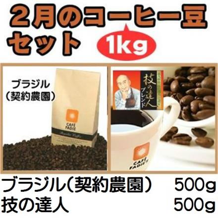 【送料無料】2月のコーヒー豆1kgセット(ブラジル500g+技の達人500g)