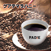 グアテマラハニー サンクリストバル ハニープロセス精製(契約農園)　　500g