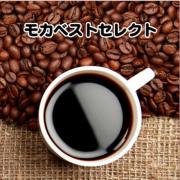 モカベストセレクト(モカ・イルガチェフェ)　500g
