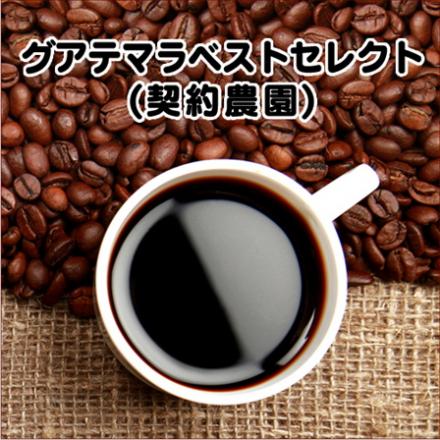 グアテマラベストセレクト(契約農園)　200g