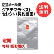 【定期購入】グアテマラベストセレクト(契約農園) 　300g　【送料無料】