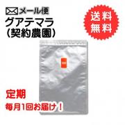 【定期購入】グアテマラ(契約農園) 　300g　【送料無料】