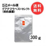 【メール便】グアテマラベストセレクト(契約農園) 　300g