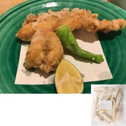 カフェファディ Online Shop シロサバフグドレス 11 15 1kg