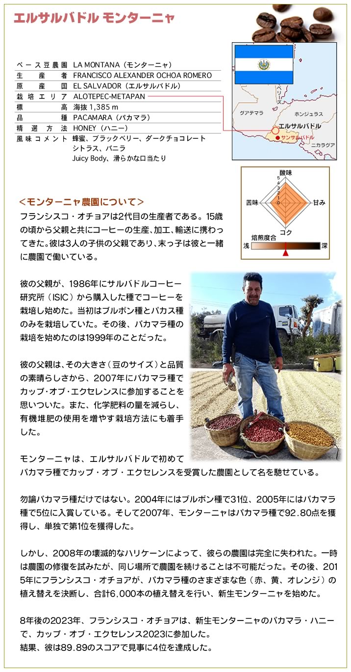 【完全予約限定販売】エルサルバドルCOE2023　第4位　モンターニャ　100g
