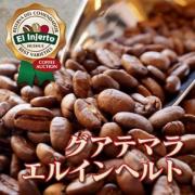 【完全予約限定販売】グアテマラ　エルインヘルト　100g