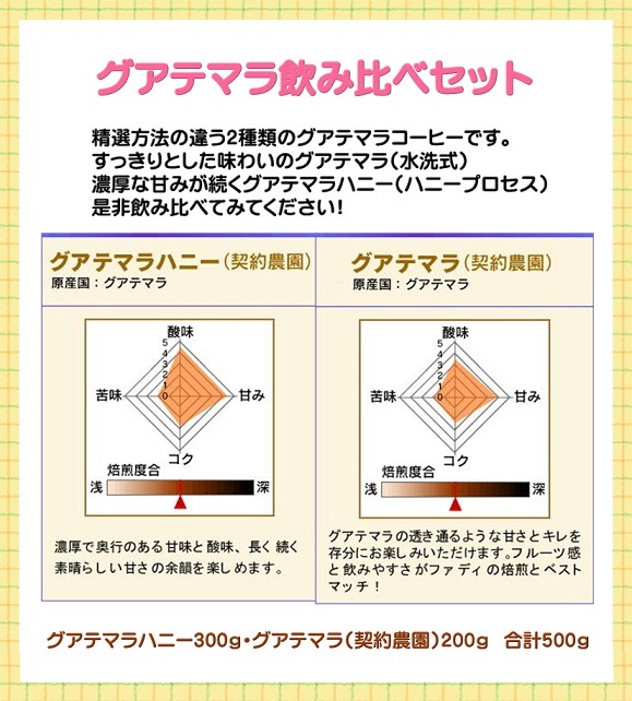 【送料無料】グアテマラ飲み比べセット  合計500g