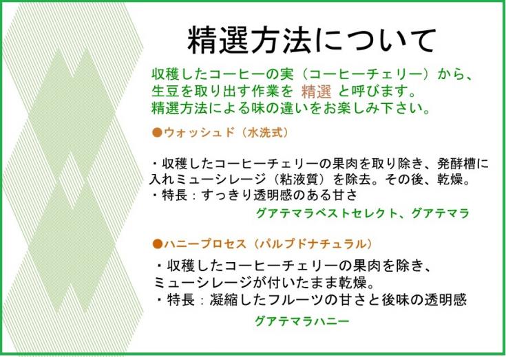 【送料無料】グアテマラ飲み比べセット  合計500g