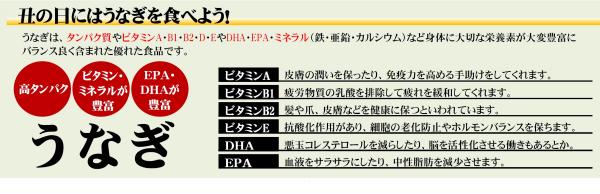 【Net予約】　鹿児島産　うなぎ蒲焼　[たれと山椒付]　(無頭1尾・約130g前後)