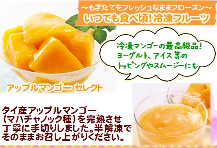 ノースイ アップルマンゴーカット(セレクト) 500g