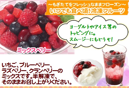 ノースイ VeryBerry ミックスベリー 500g