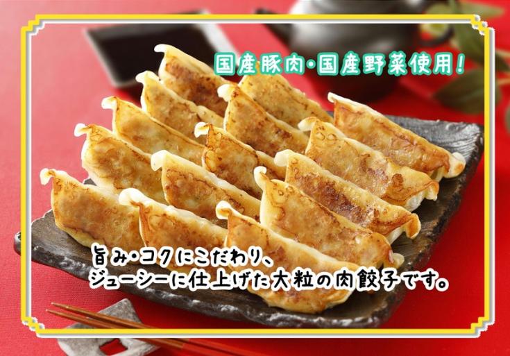 【TVで紹介されました】ファディ 皮もっちり具がぎっしり餃子 28g×15