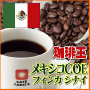珈琲王　メキシコCOEフィンカ　シナイ100g