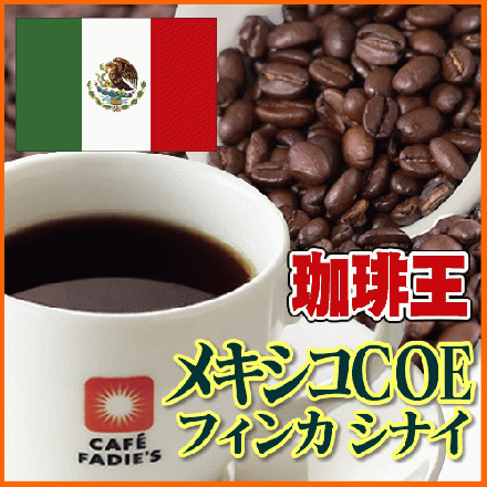 珈琲王　メキシコCOEフィンカ　シナイ100g