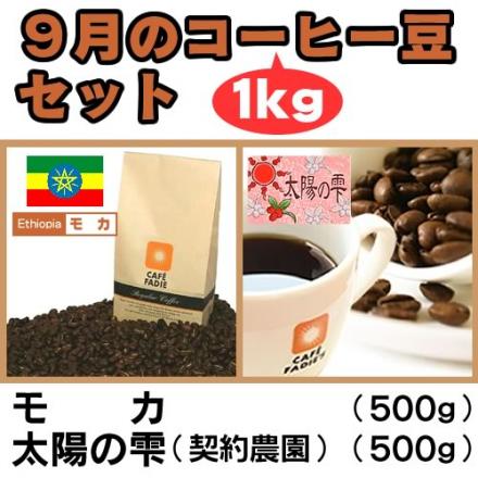 【送料無料】9月のコーヒー豆1kgセット(モカ500g　太陽の雫500g)