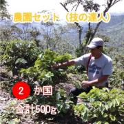 【送料無料】農園セット(技の達人300g・ブラジル200g) 　合計500g (豆)