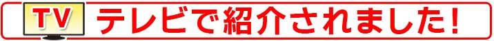 ファディ ほたて貝柱3S 500g(約20~25個)
