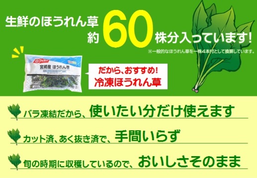 【国産野菜】ニッスイ　宮崎県産ほうれん草　500g