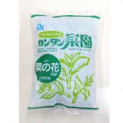 ノースイ　菜の花IQF 500g