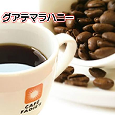 グアテマラハニー サンクリストバル ハニープロセス精製　100g