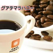 グアテマラハニー サンクリストバル ハニープロセス精製　200g