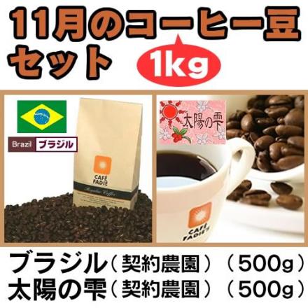 【送料無料】11月のコーヒー豆1kgセット(ブラジル500g　太陽の雫500g)
