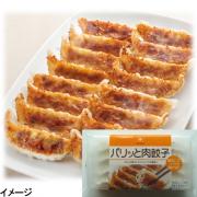 ファディ パリッと肉餃子　約21g×12個入り