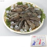 ニッスイ　白姫えび有頭セミIQF　30/35 500g　　