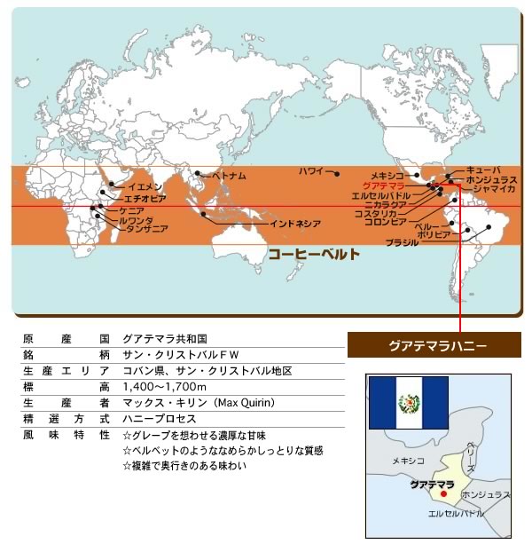 グアテマラハニー サンクリストバル ハニープロセス精製(契約農園)　　100g