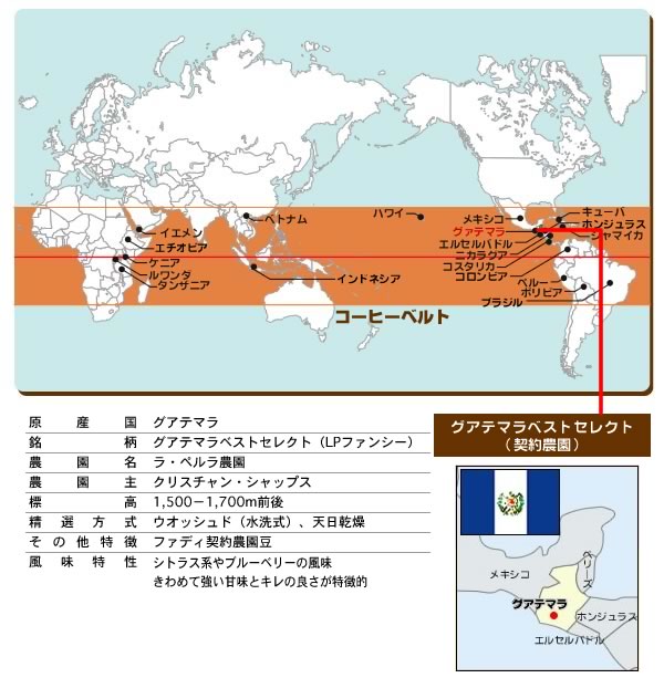 カフェファディ ONLINE SHOP / グアテマラベストセレクト(契約農園) 500g