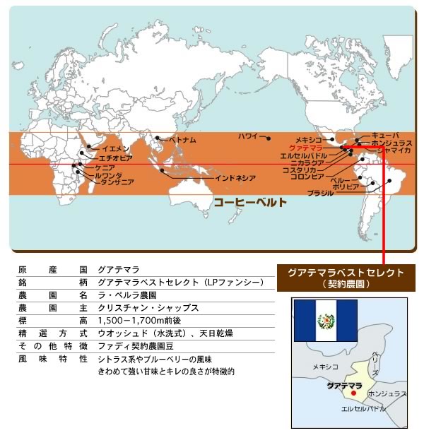 グアテマラベストセレクト(契約農園)　200g