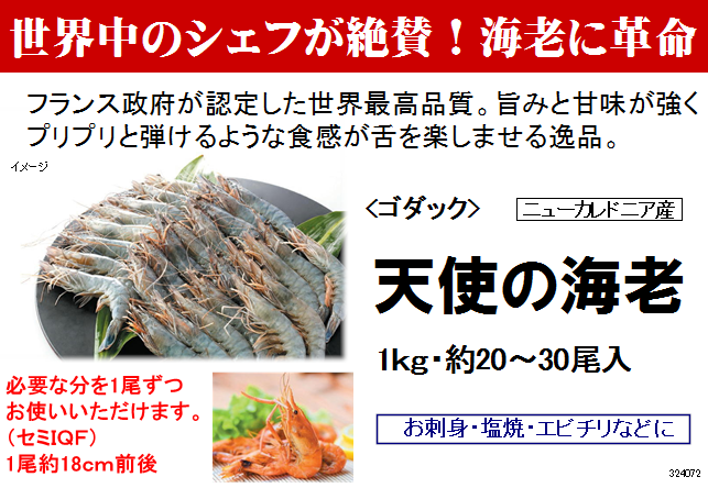 カフェファディ ONLINE SHOP / 養殖 ゴダック 天使の海老 1kg(約20～30尾)