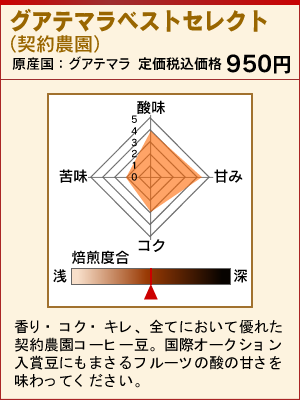 グアテマラベストセレクト