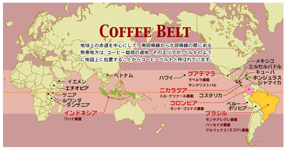 coffee belt