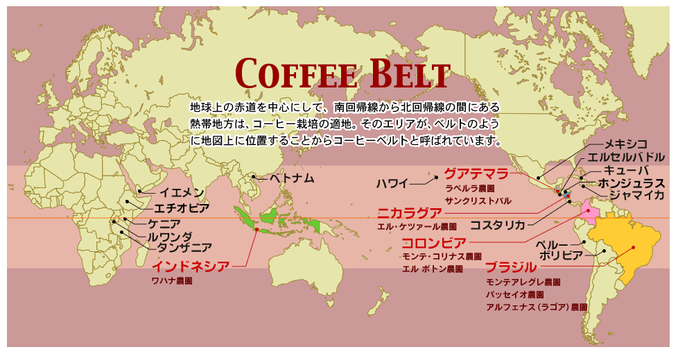限定価格セール！】 10杯分 ブラジルモンテアレグレ農園 自家焙煎コーヒー豆 バランス系