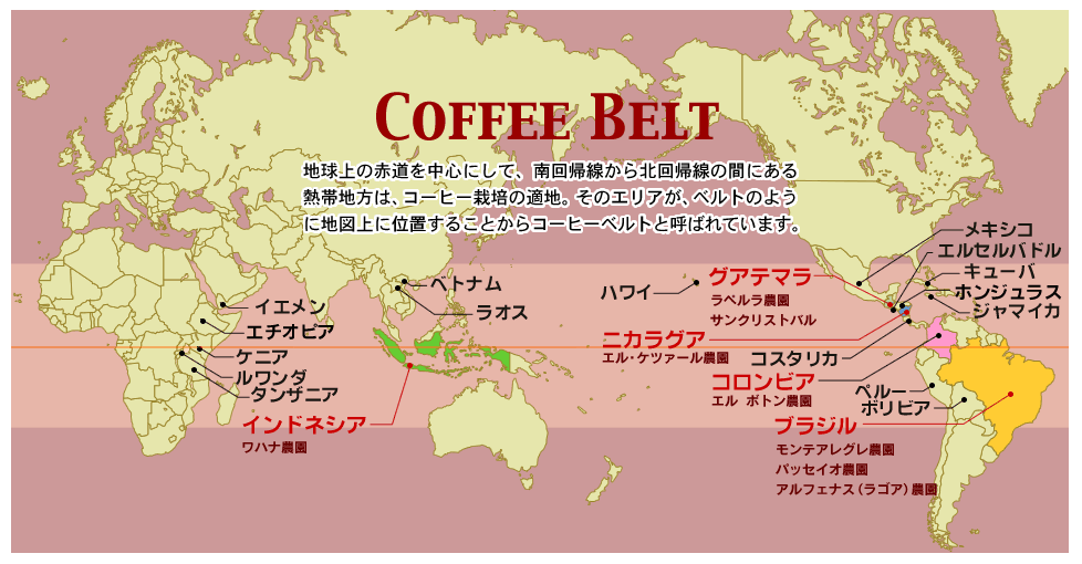coffee belt