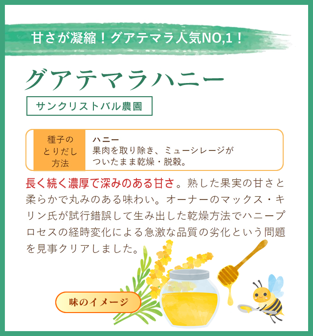 グアテマラハニー