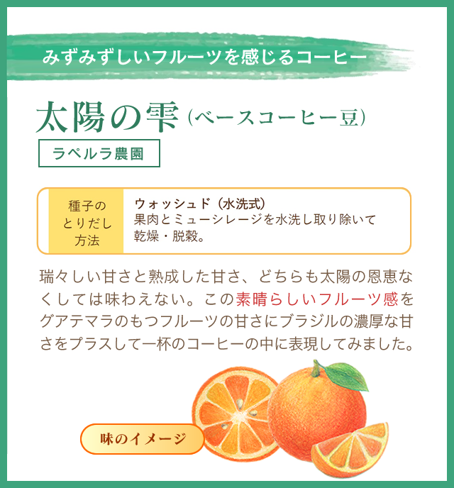 太陽の雫