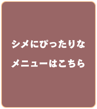 シメにぴったりなメニューはこちら