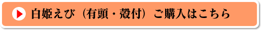 白姫えびのご購入はこちら