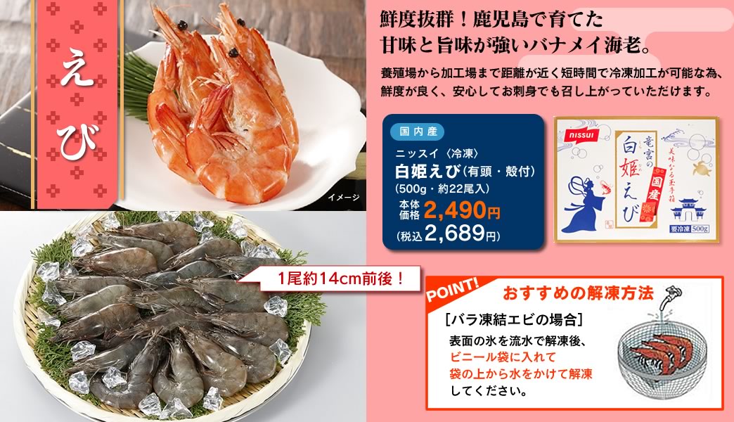 白姫えび