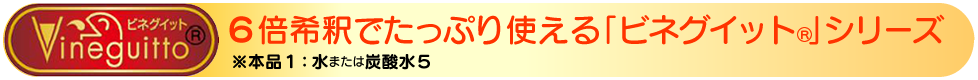 6倍希釈でたっぷり